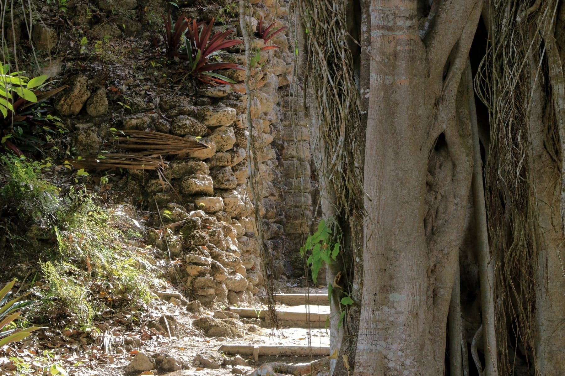 Costa Maya Chacchoben