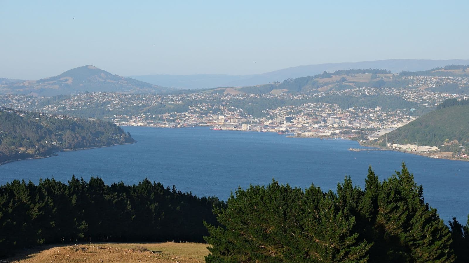 Dunedin and inner Otago Harbour in the morning