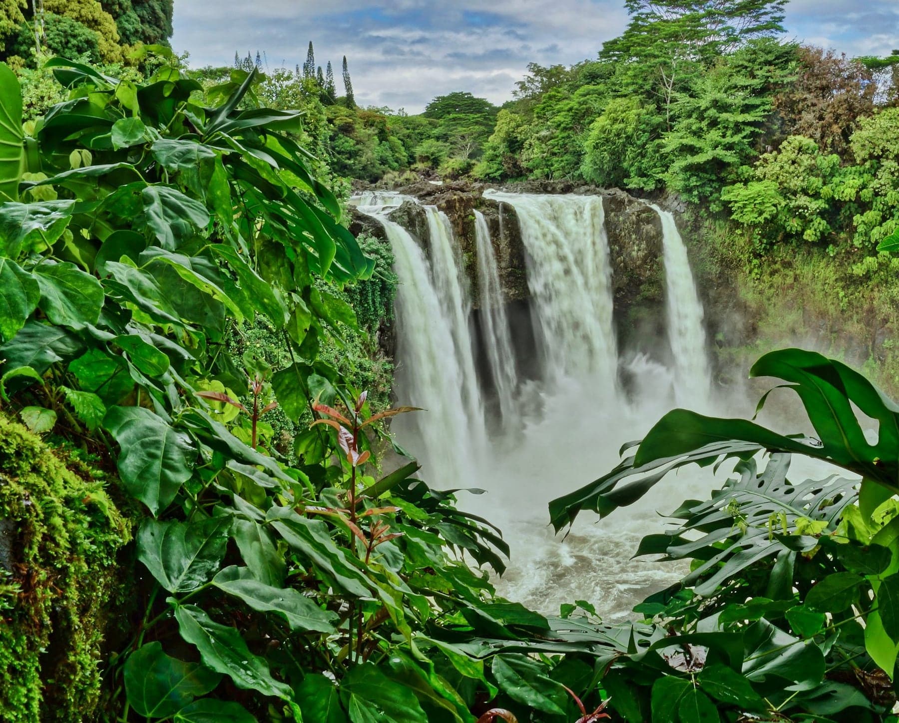 Hilo Rainbow Falls