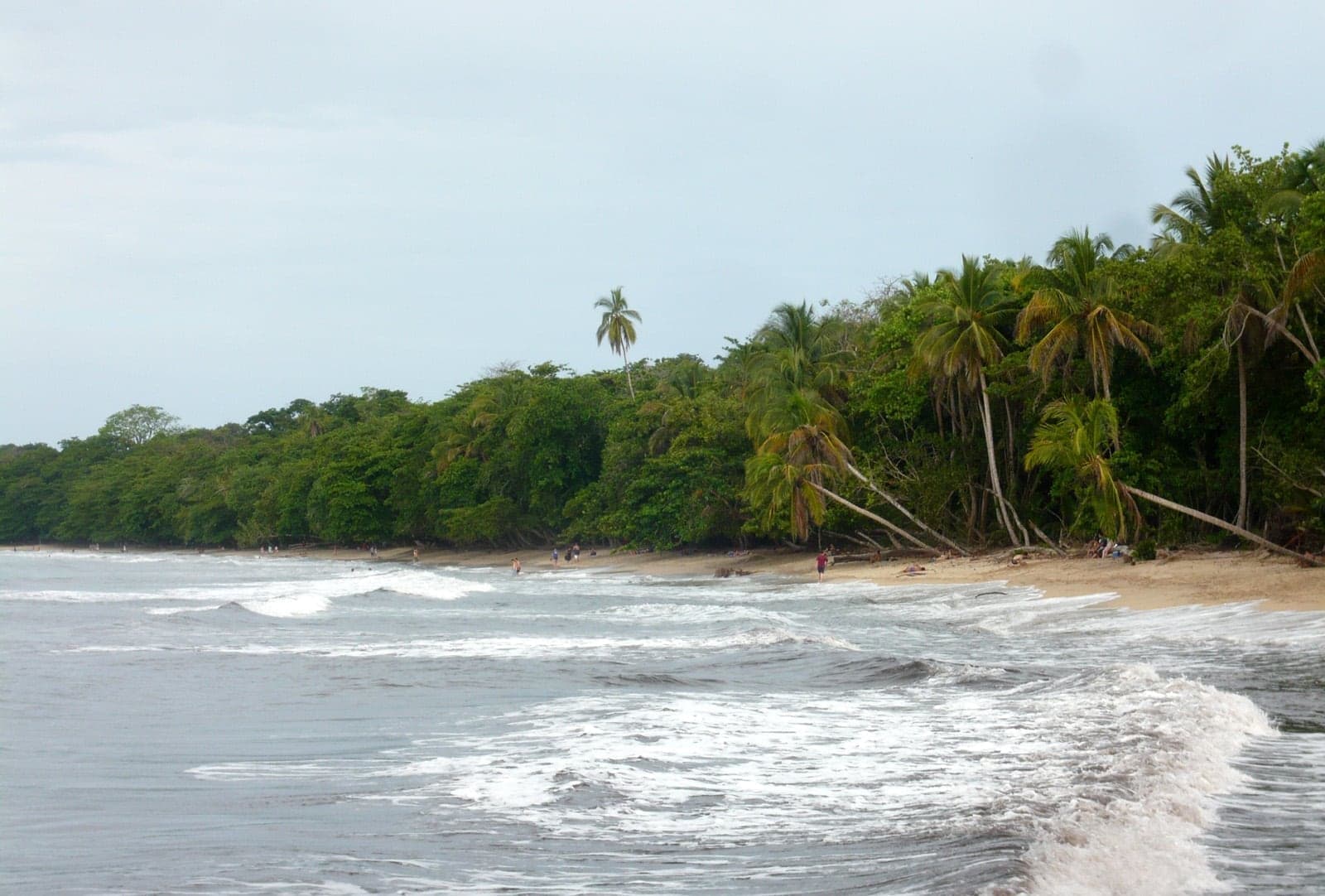 Limon Cahuita National Park